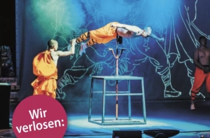 Auergewhnliche-Show-Shaolin-Mnche--Shaolin-Kung-Fu